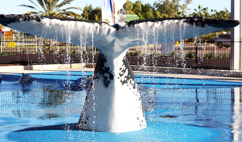 water park water playground exmouth