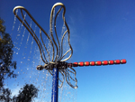 dragon fly shower