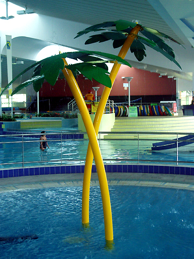 palm tree
