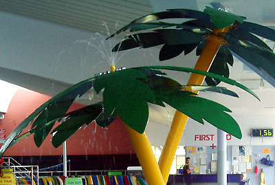 palmtree